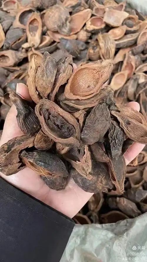 烘干槟榔半成品