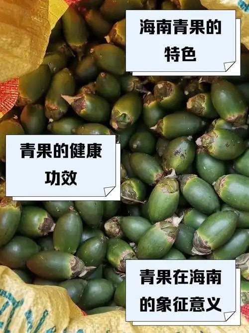 海南青果精选