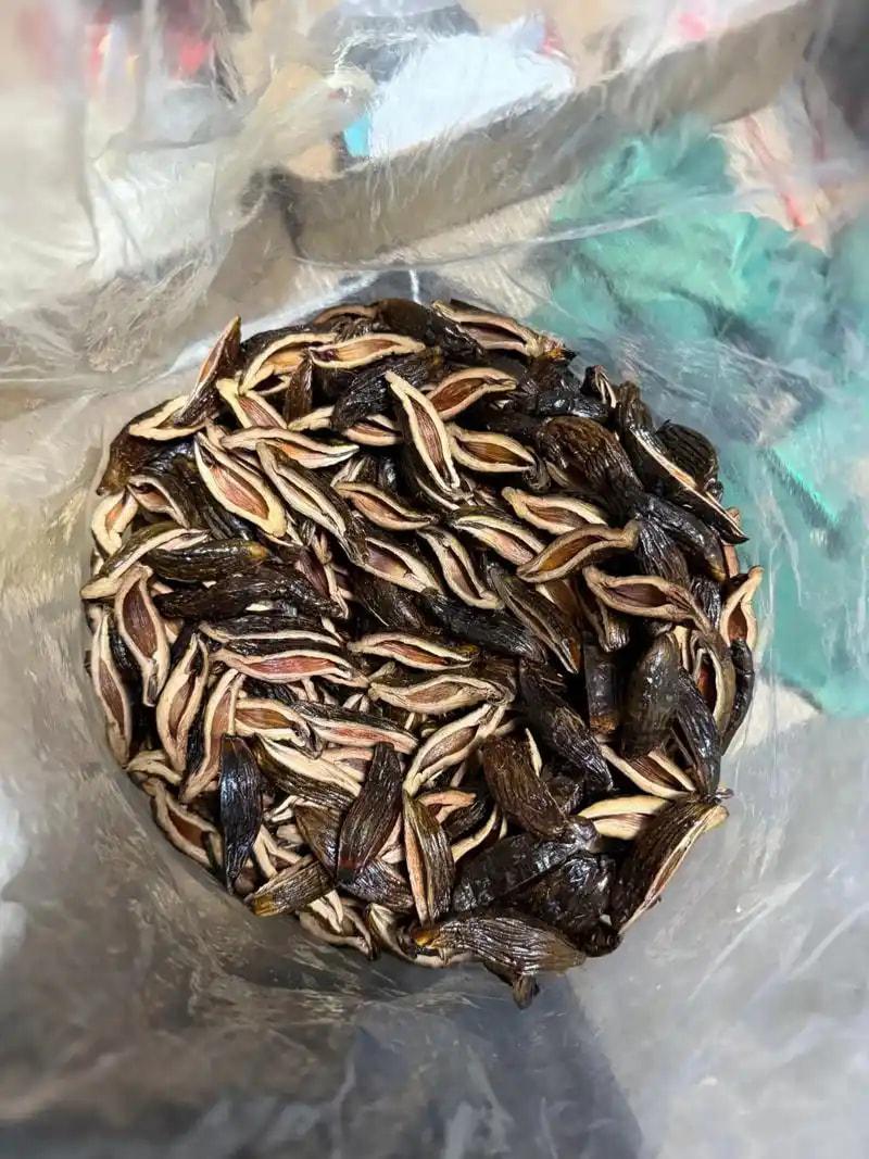 原味食用槟榔
