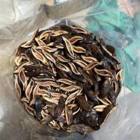 原味食用槟榔