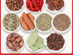 行业展会亮点前瞻