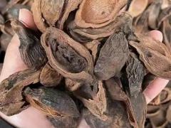 印尼青果统货 正式上市，欢迎询盘