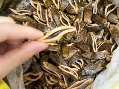 青果鲜果统货 正式上市，欢迎询盘