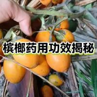 槟榔卤汁香精