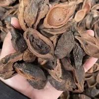 烘干槟榔半成品